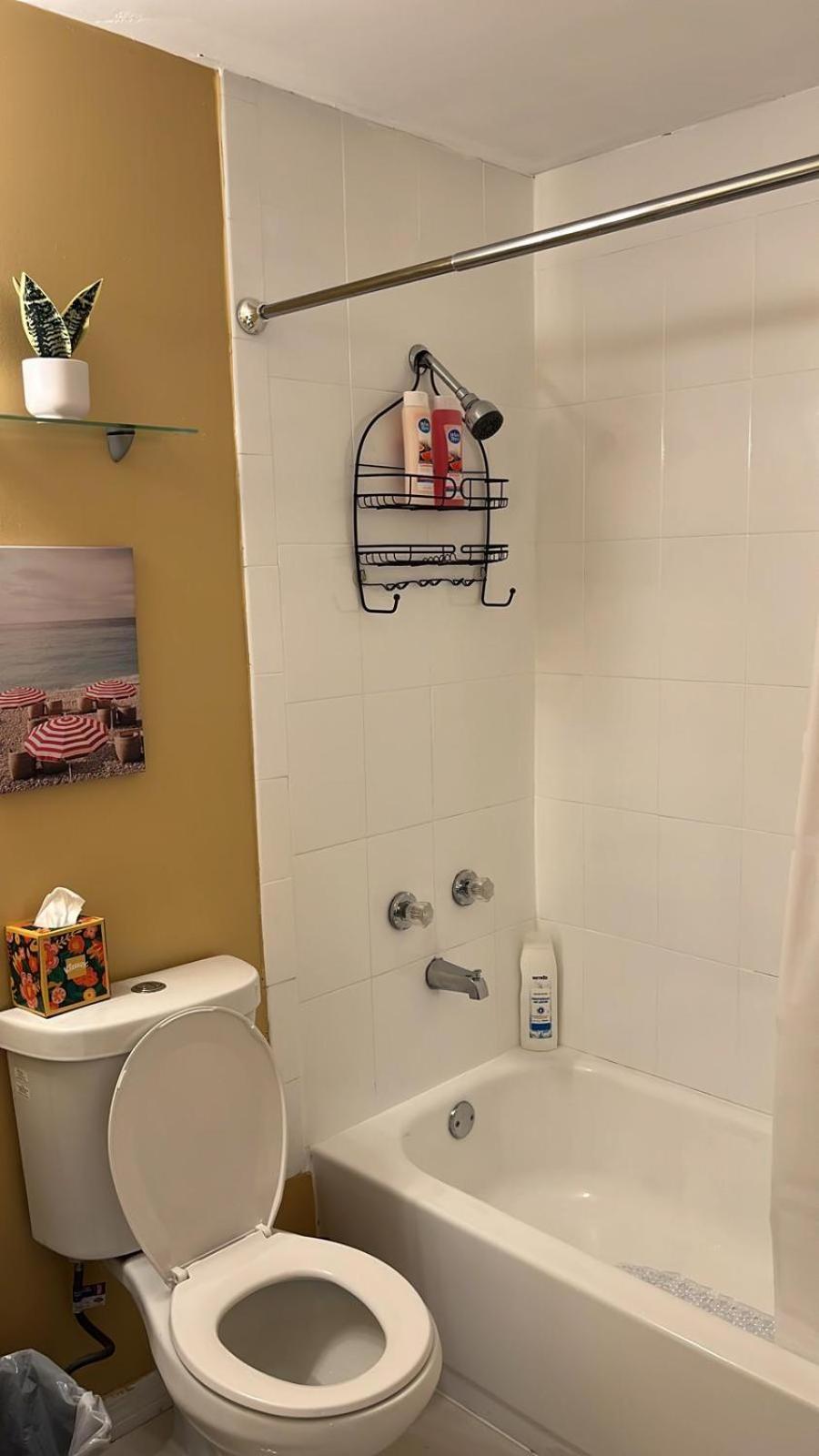 Beautiful, Fully Furnished 4Bed 2Bath House - 5 Minute Walk To Miracle Mile Downtown Coral Gables Villa Miami Exterior photo